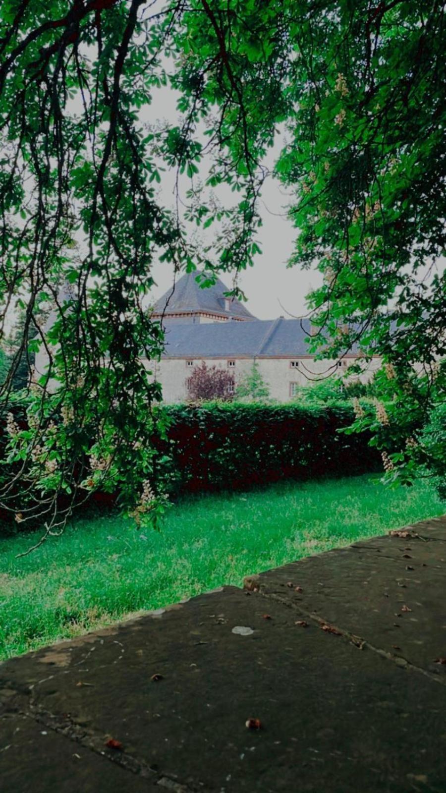 L' Extravagante Im Garten Von Schloss Apartment Schmidtheim
