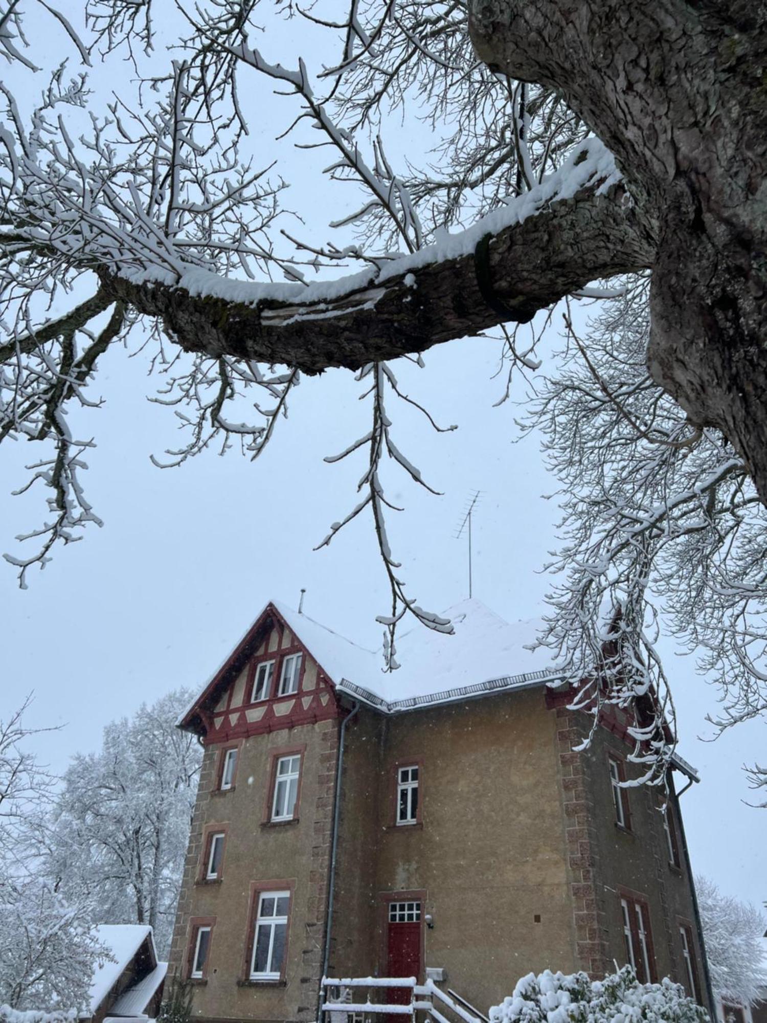 L' Extravagante Im Garten Von Schloss Apartment *