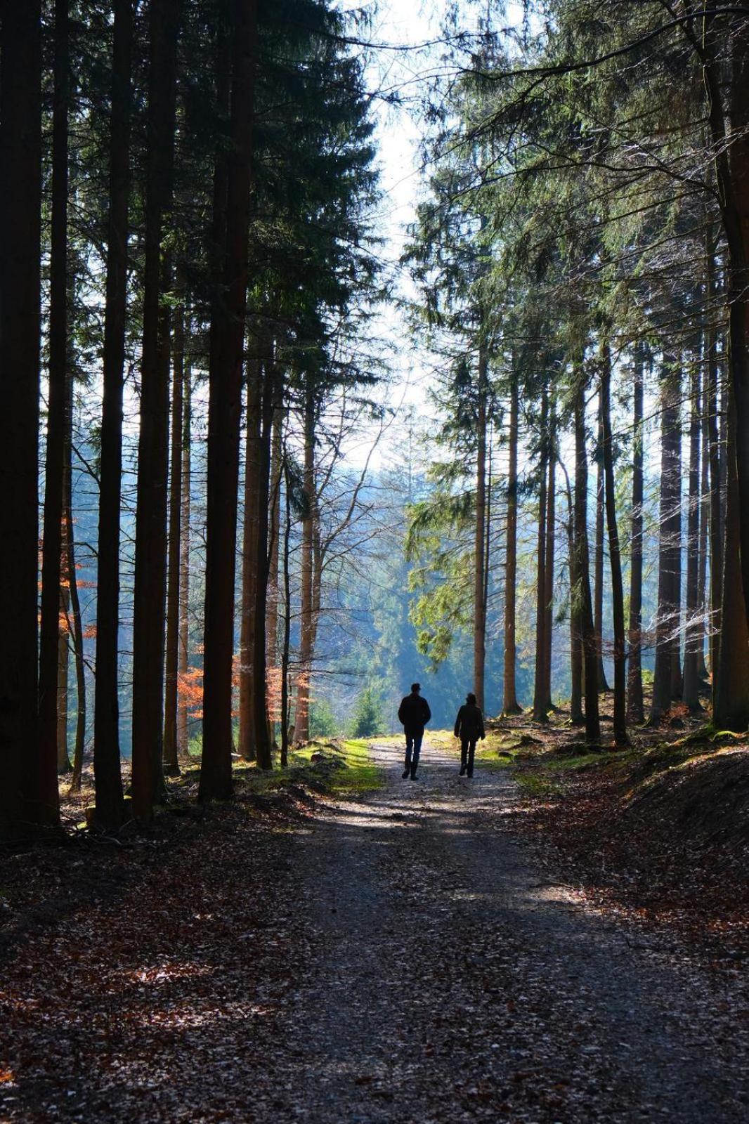 L' Extravagante Im Garten Von Schloss * Schmidtheim