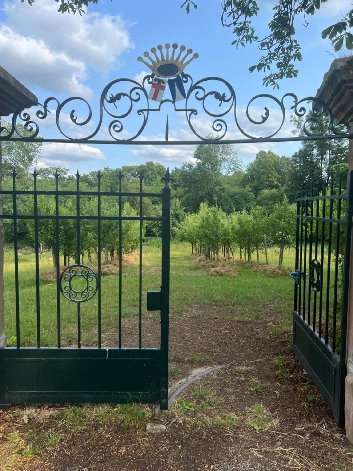 L' Extravagante Im Garten Von Schloss * Schmidtheim