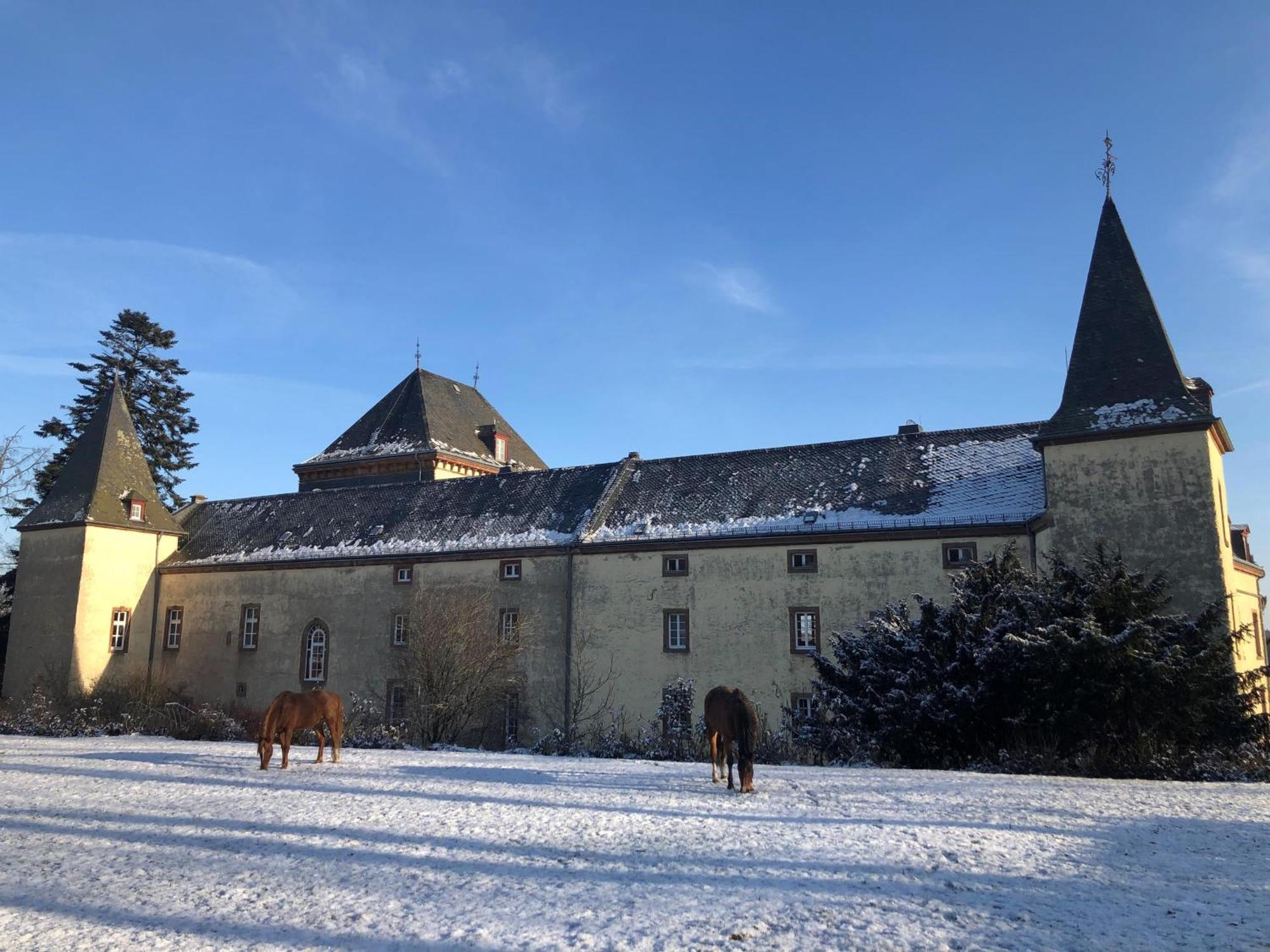 L' Extravagante Im Garten Von Schloss